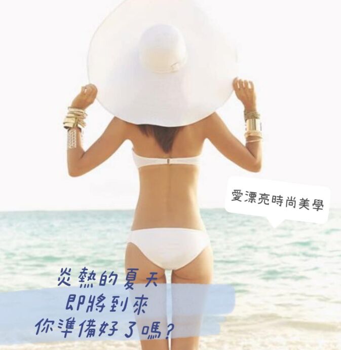 板橋美背
